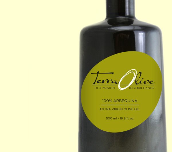 cabacera-terra-olive-1