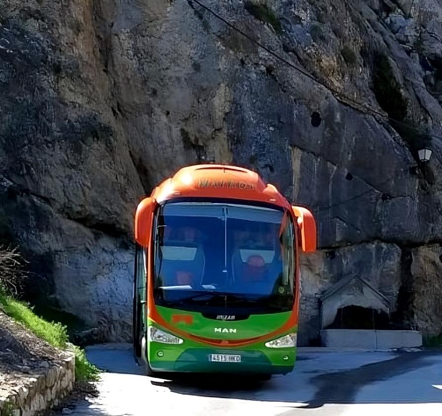 autobus-transformed